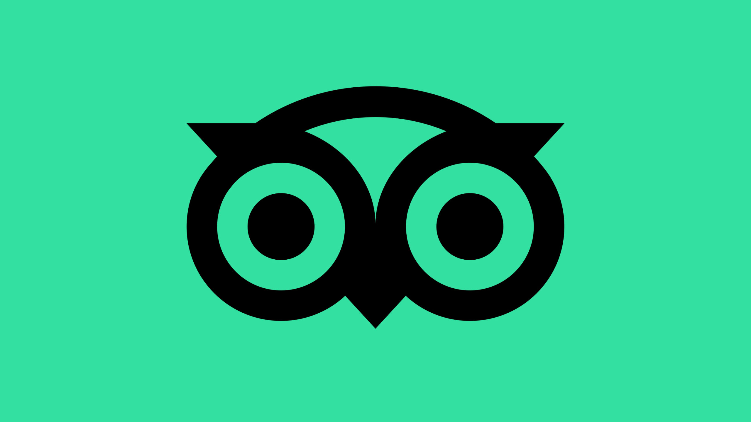 Matthijs van Leeuwen, Matt van Leeuwen, Tripadvisor, Design, Mother Design, Logo, Identity