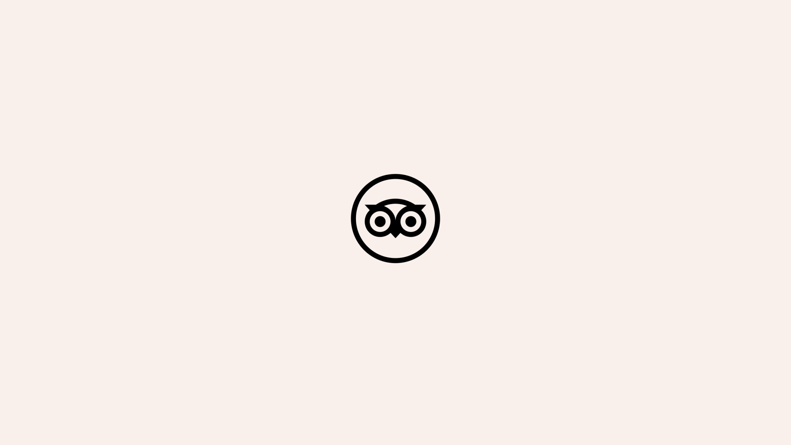 Matthijs van Leeuwen, Matt van Leeuwen, Tripadvisor, Design, Mother Design, Logo, Identity