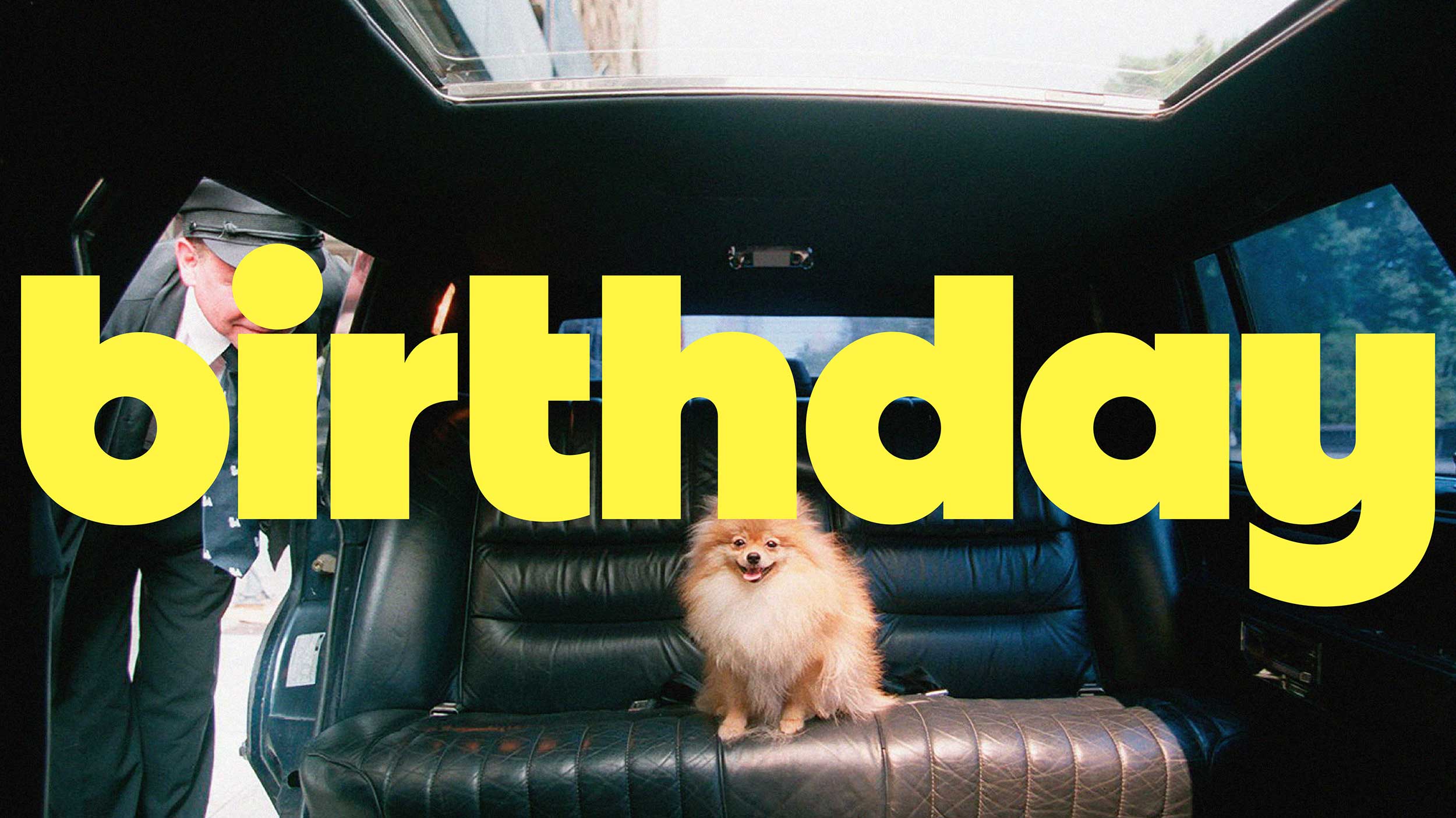 Matthijs van Leeuwen, Matt van Leeuwen, Corinna Falusi, Hello Birthday, Birthday, logo