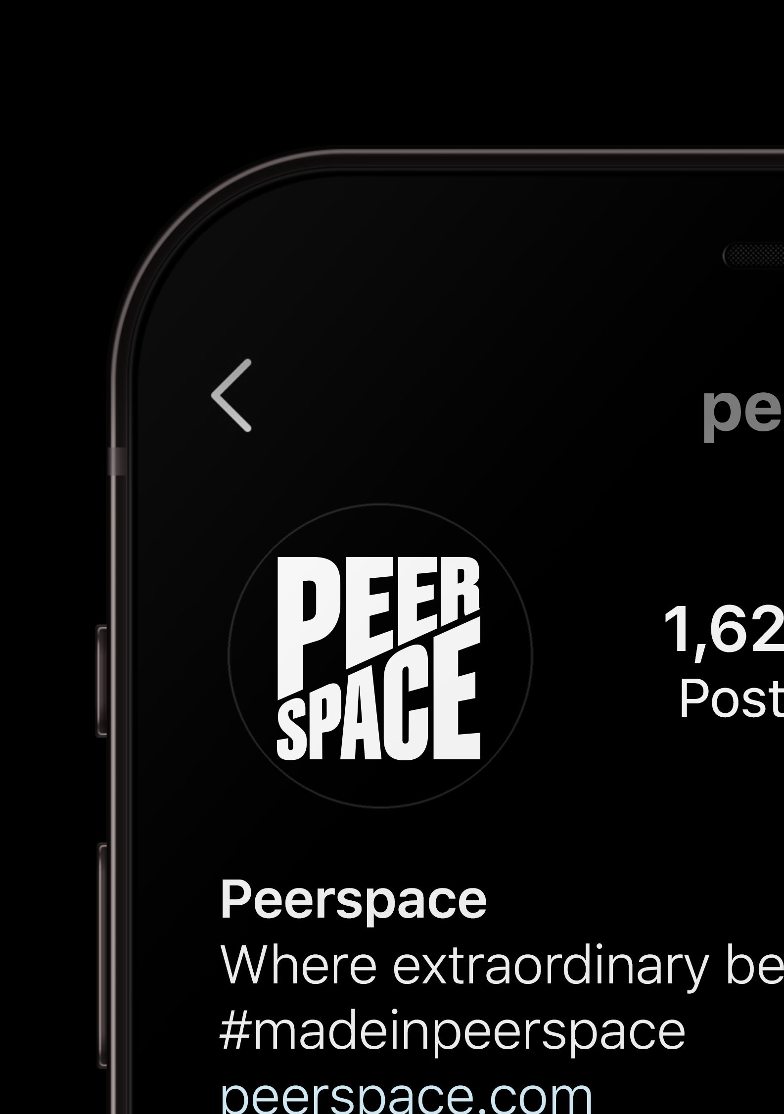 Peerspace, Matthijs van Leeuwen, Matt van Leeuwen, Mother Design, Logo, Identity
